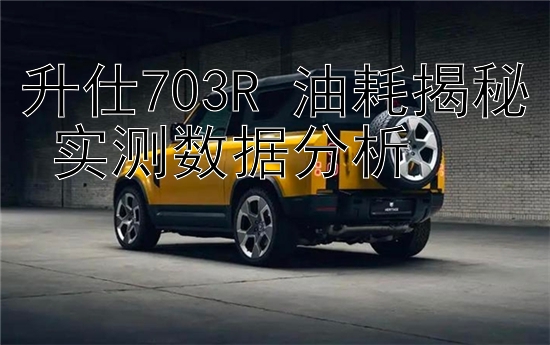 升仕703R 油耗揭秘 实测数据分析